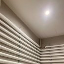 스파렉스 이미지