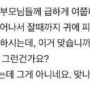 디어샐러드 네이버블로그