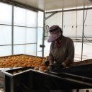 권오선농장 이미지