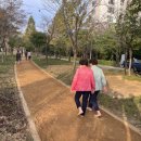 쌍암근린공원1 이미지