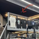 트레인트루(Traintrue) 이미지