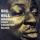 Back Water Blues - Big Bill Broonzy - 이미지