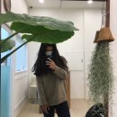 PUPPYSUN/퍼피썬 애견미용실 | 신부동 애견미용 잘하는 곳, 퍼피썬/ PUPPYSUN