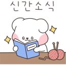 타래디자인 네이버블로그
