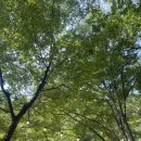 자연과사람 이미지