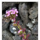 길목민박 이미지