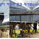 이상구표고농장 이미지