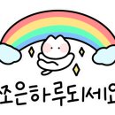 오로라 캣 이미지