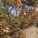 귀성약수터 이미지