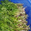 남원로 442번길 이미지