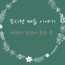 매듭이야기 이미지