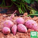 신바람마트 - 성북구 | 신바람마트