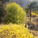 구리둘레길(4코스) 이미지