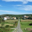 피스테라 이미지