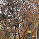 목동2단지(아) 경로당 | 목동 사진관 추천 증명사진 잘찍는 곳 | 와이제이사진관 yj사진관 목동 면허증 사진 새로 찍기!