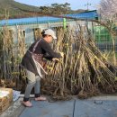 민경관농장 이미지