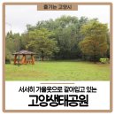 고양생태공원(교육센터 내) | 서서히 가을옷으로 갈아입고 있는 &lt;고양생태공원&gt;🍁