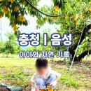 충북 | 음성 당일치기 여행 🍑 아이와 자연을 기록한 복숭아 농장 코스