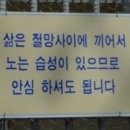 빵부스러기