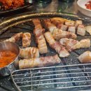 시집못간 돼지 이미지