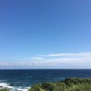 공천포 포구 이미지