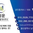 돼지부동산중개사사무소 이미지