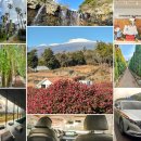 남원읍-126 | 제주도 택시투어 가격 요금, 자유여행 관광코스 경비 이렇게 줄였어요.