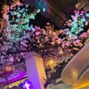 미미스시&덮밥 이미지