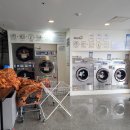 홍삼매점