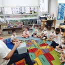 달서메이플베어