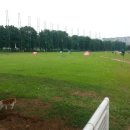 푸른골프연습장 이미지