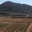 보성부동산공인중개사사무소 이미지