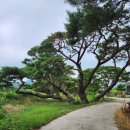 운봉읍 삼산마을 이미지