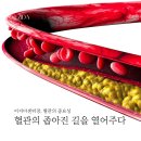 이지 스킨앤바디 네이버블로그