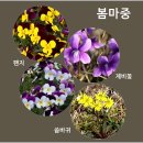 청암 이미지