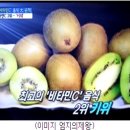 비타민열쇠 이미지