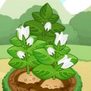 포돌이로 33 이미지