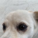 곰배골길146·29 이미지