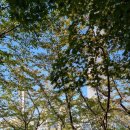 황제태권도장 이미지