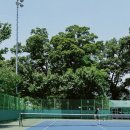 신흥말길1-5 이미지