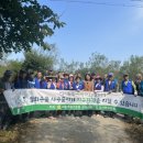 양사면-4 이미지