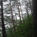 백암-2 이미지