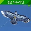 연 이미지