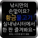 황금실내낚시터 네이버블로그