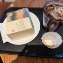 유노성형외과의원 | 강남 성형외과 쌍수 상담후기(팝/별/유노) 원장님 ,수술 가격 다 알려드려요