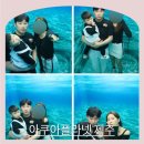 제주도 아이랑 가볼만한곳 서귀포 섭지코지 동쪽여행 실내관광지 추천 아쿠아플라넷 제주