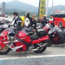 오늘도 닭 Daum카페