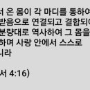 에클레시아 이미지