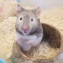 로던트클럽 화정 본점 이미지