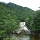 무릉계곡 이미지